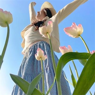 工程师普赖特的方案